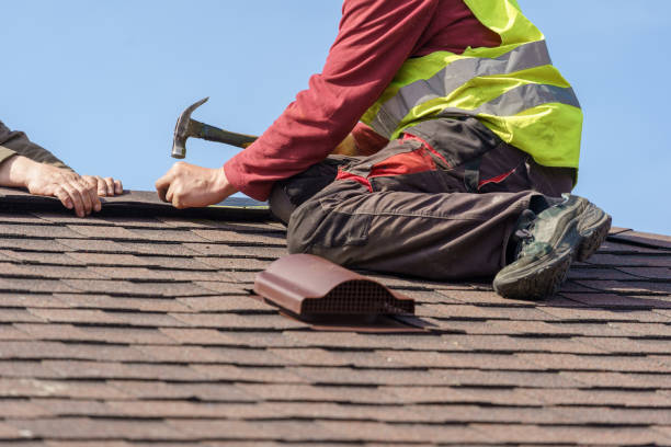 Best Residential Roofing Contractor  in Thief River Falls, MN
