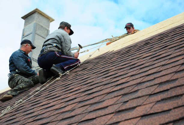 Roof Gutter Cleaning in Thief River Falls, MN